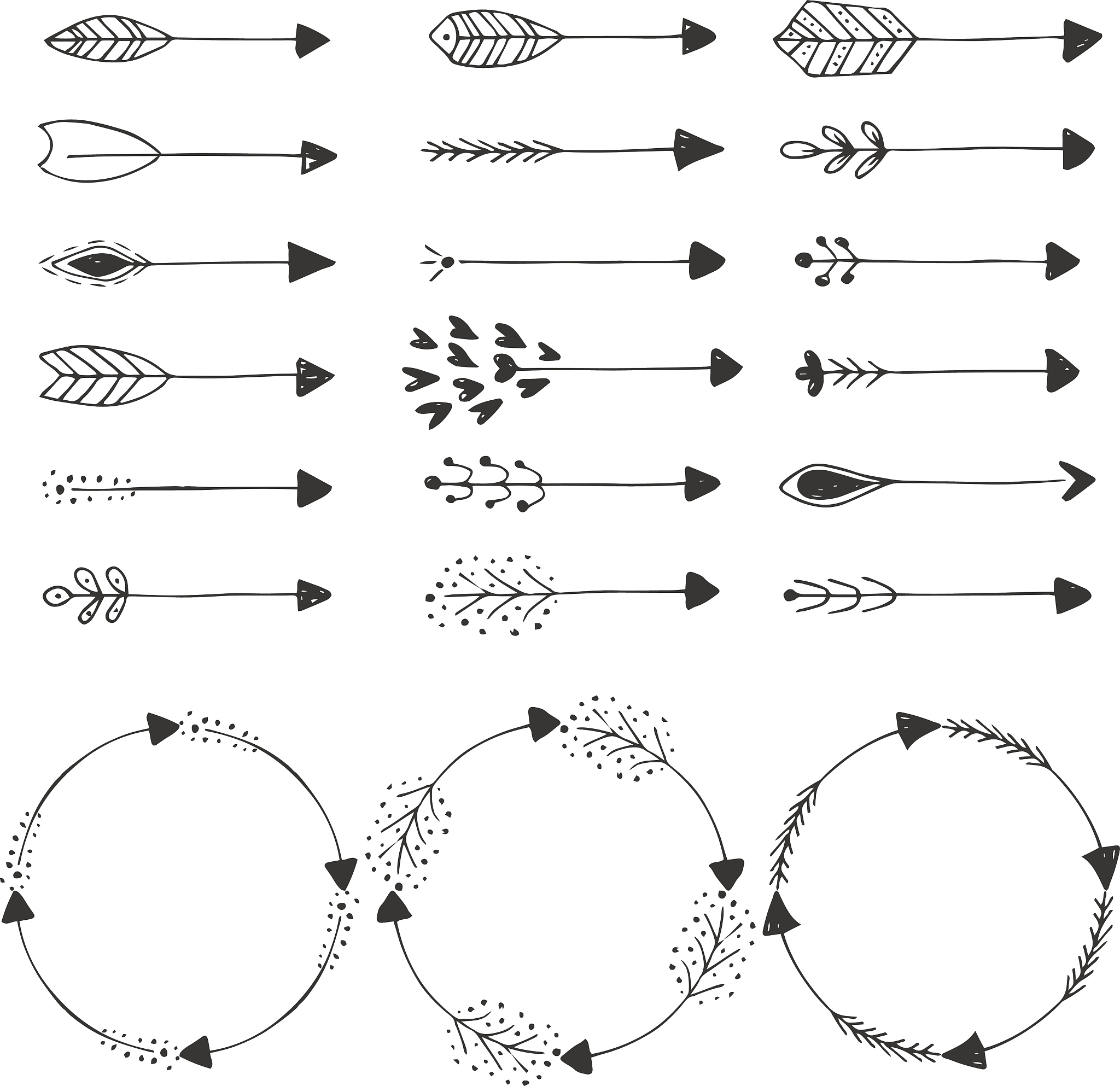染色体上的DNA分子数量：影响因素及解析