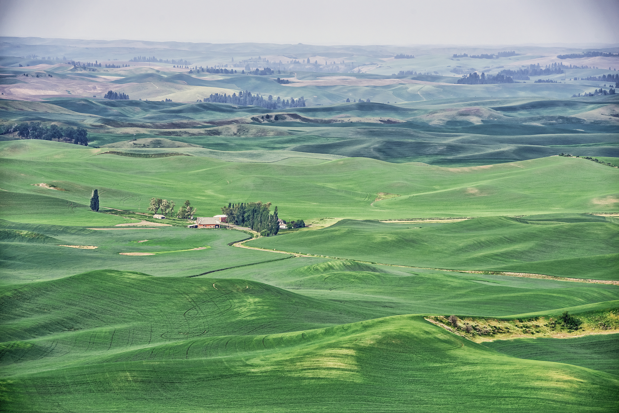 the palouse rolling hills