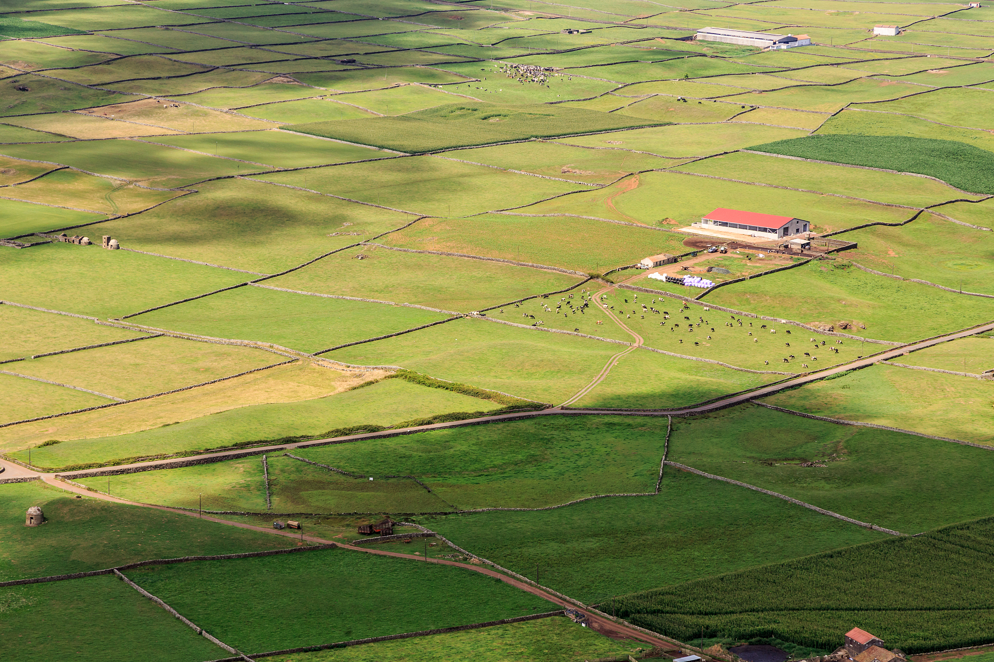 agrarian puzzle