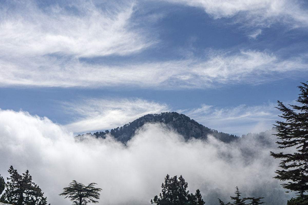 南昌天气预报 - 今天会下雨吗？