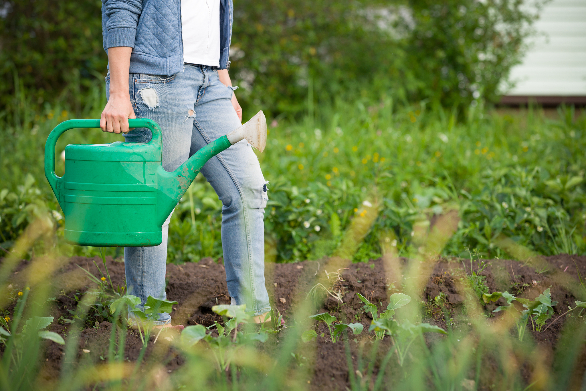 楚雄农业学校制药技术专业好不好