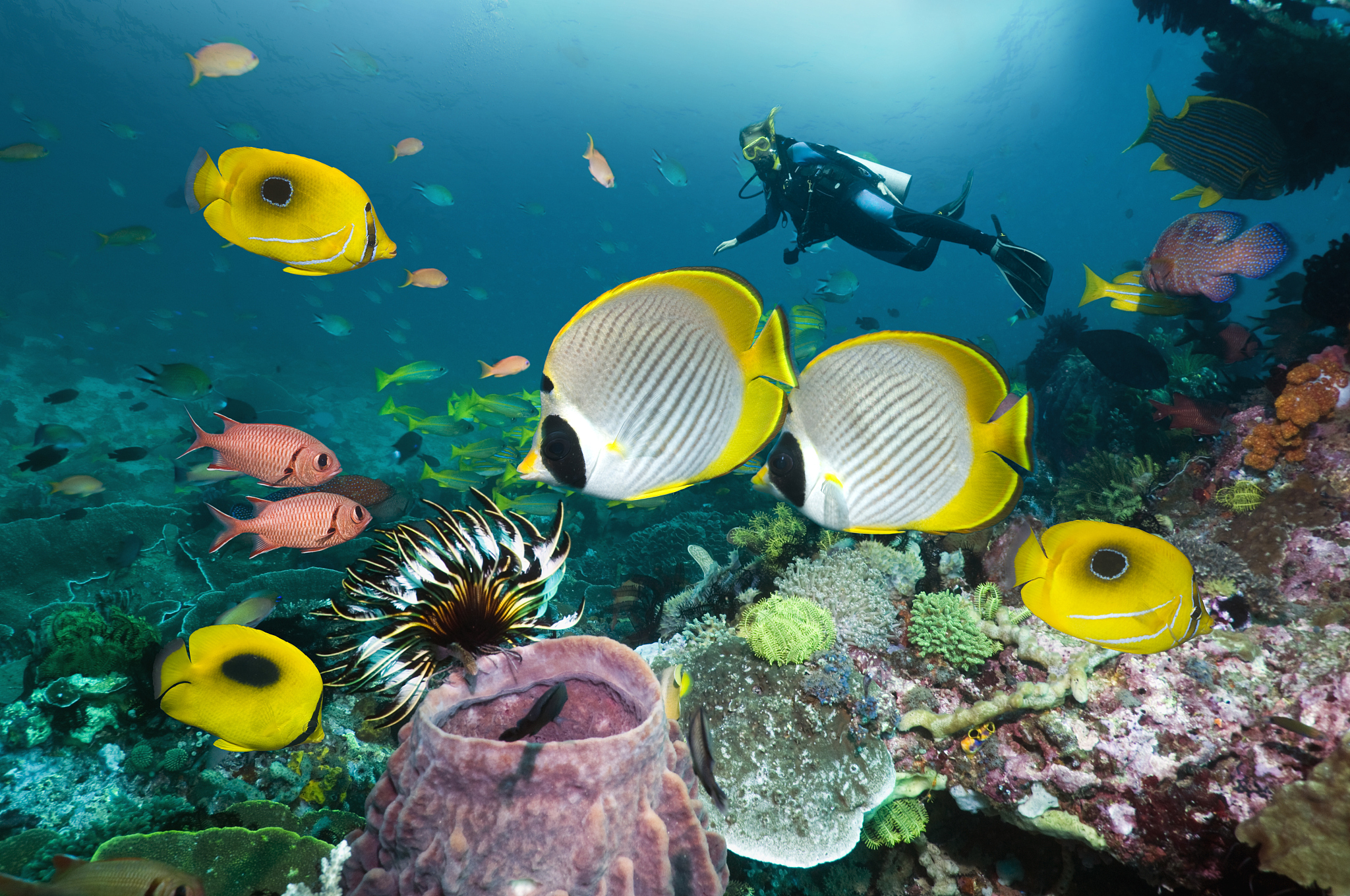 大连海洋学校就业前景分析：海洋人才的未来之路