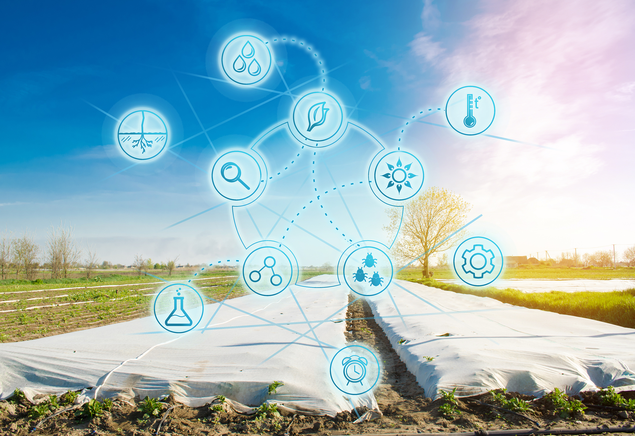 大数据应用下的乡村振兴课题申请书 5000字