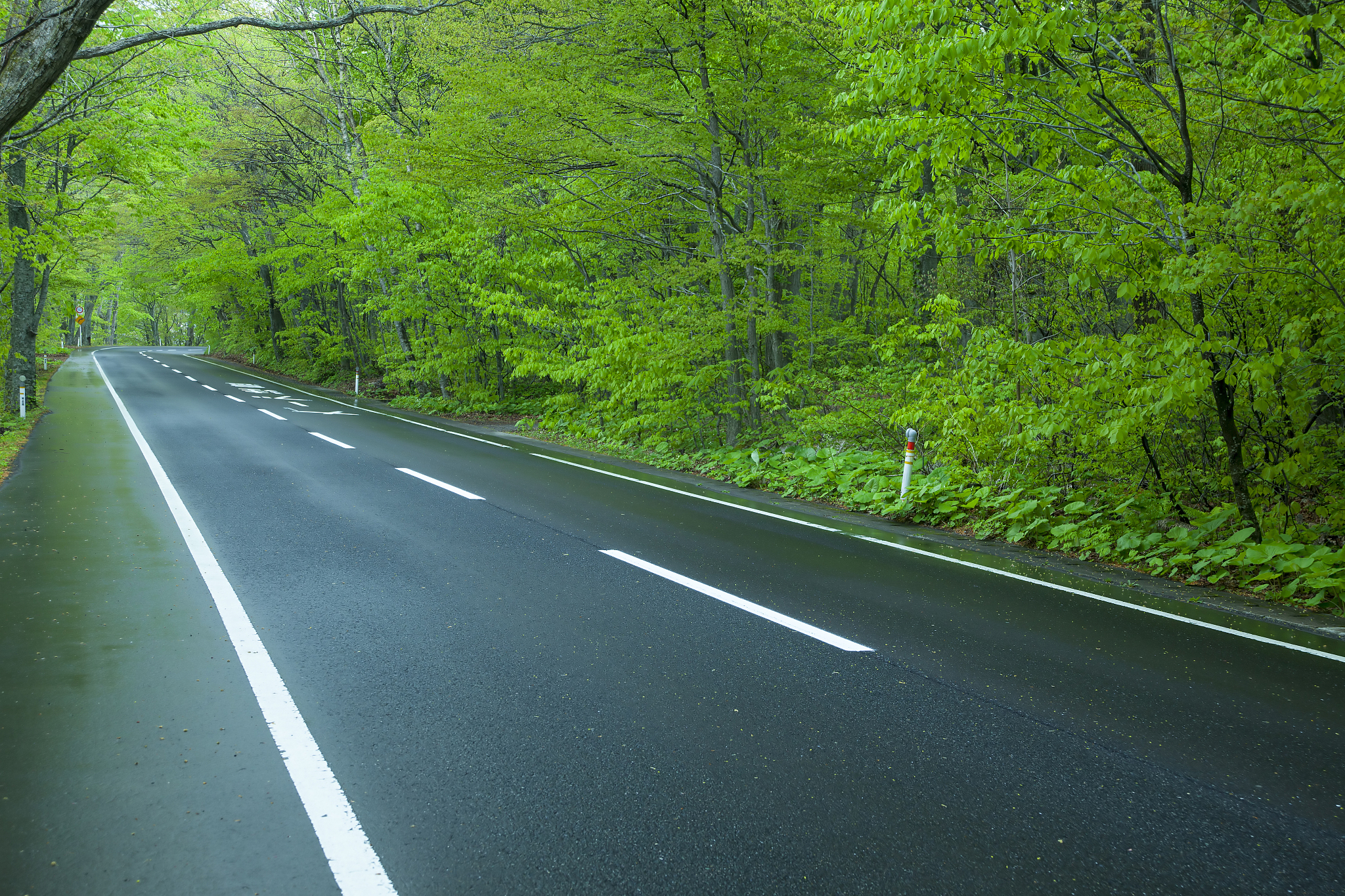 近期市委主要领导将赴各县市区开展绿色经济调研。为做好相关准备工作根据市发改委主要领导要求请各县市区总结绿色经济工作情况包括工作开展情况、亮点和成效、存在问题、下一步思路写一篇关于福州市晋安区绿色经济工作情况汇报