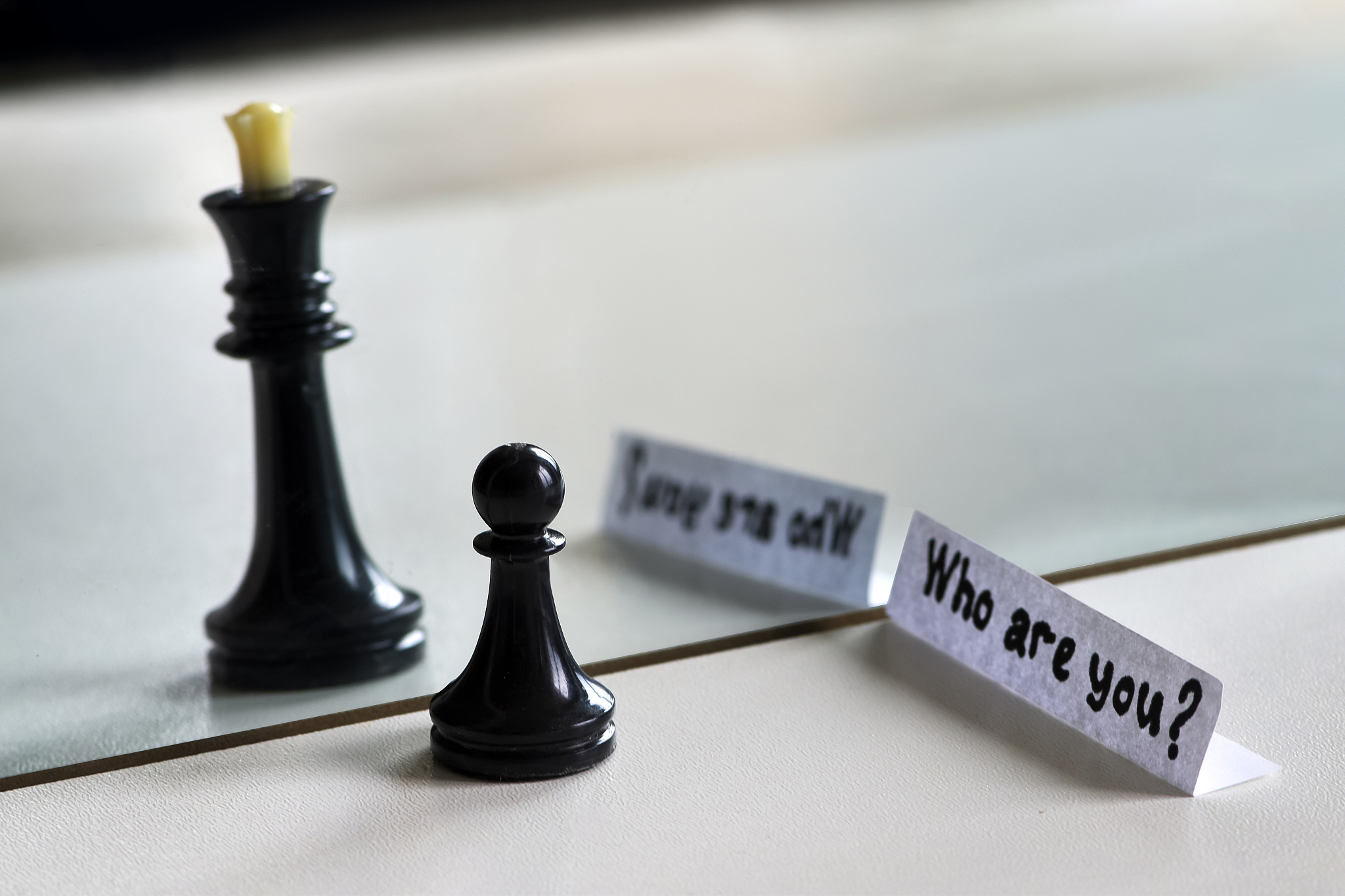 chess in mirror image, concept search opportunities, self-develo
