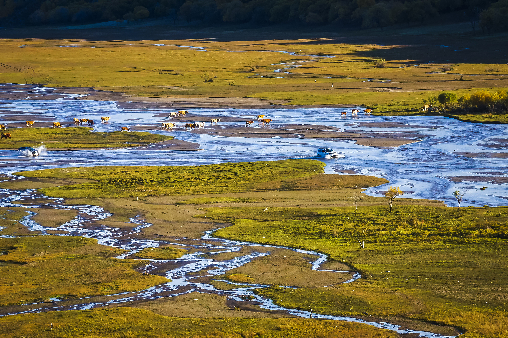 如何提升耐心：10个实用的技巧和方法