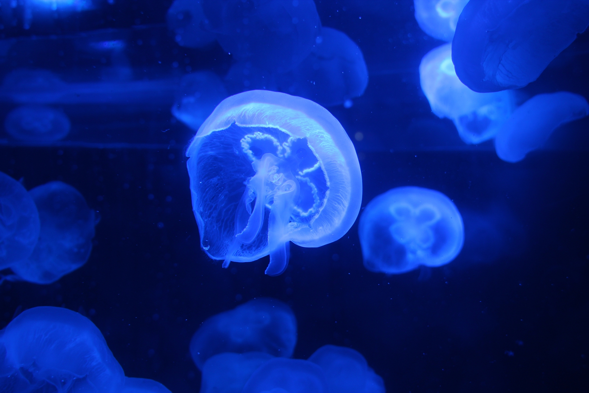 短文集锦：第六篇到第十篇 - 涵盖爱好、家庭、梦想、季节等主题