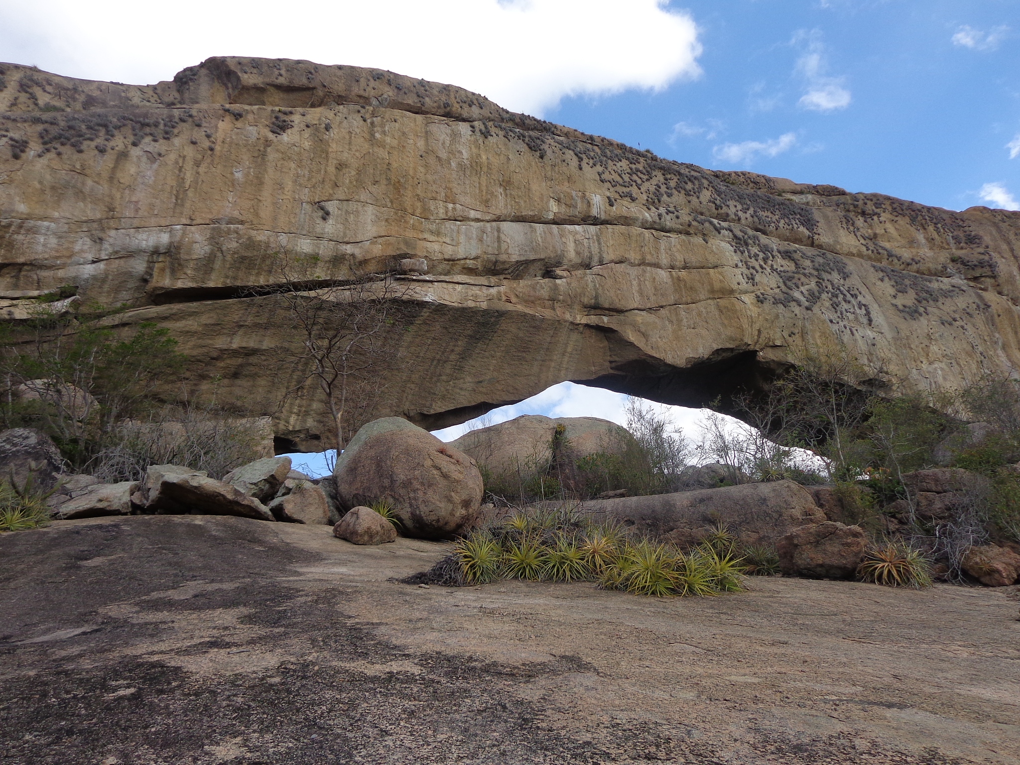 Jack Hills zircon是什么