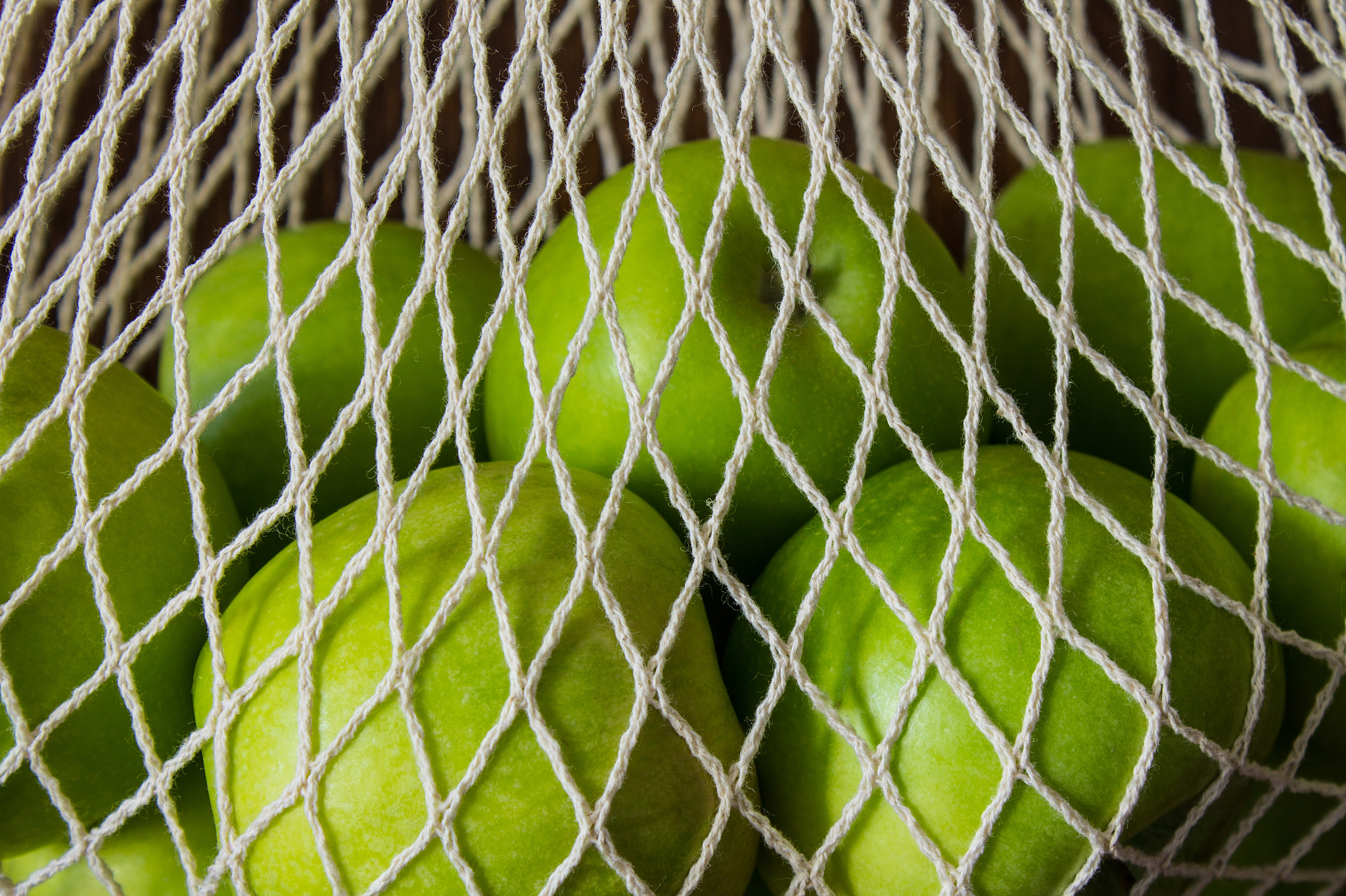 山西国际商务职业学院环境状况：绿色校园，环保先行