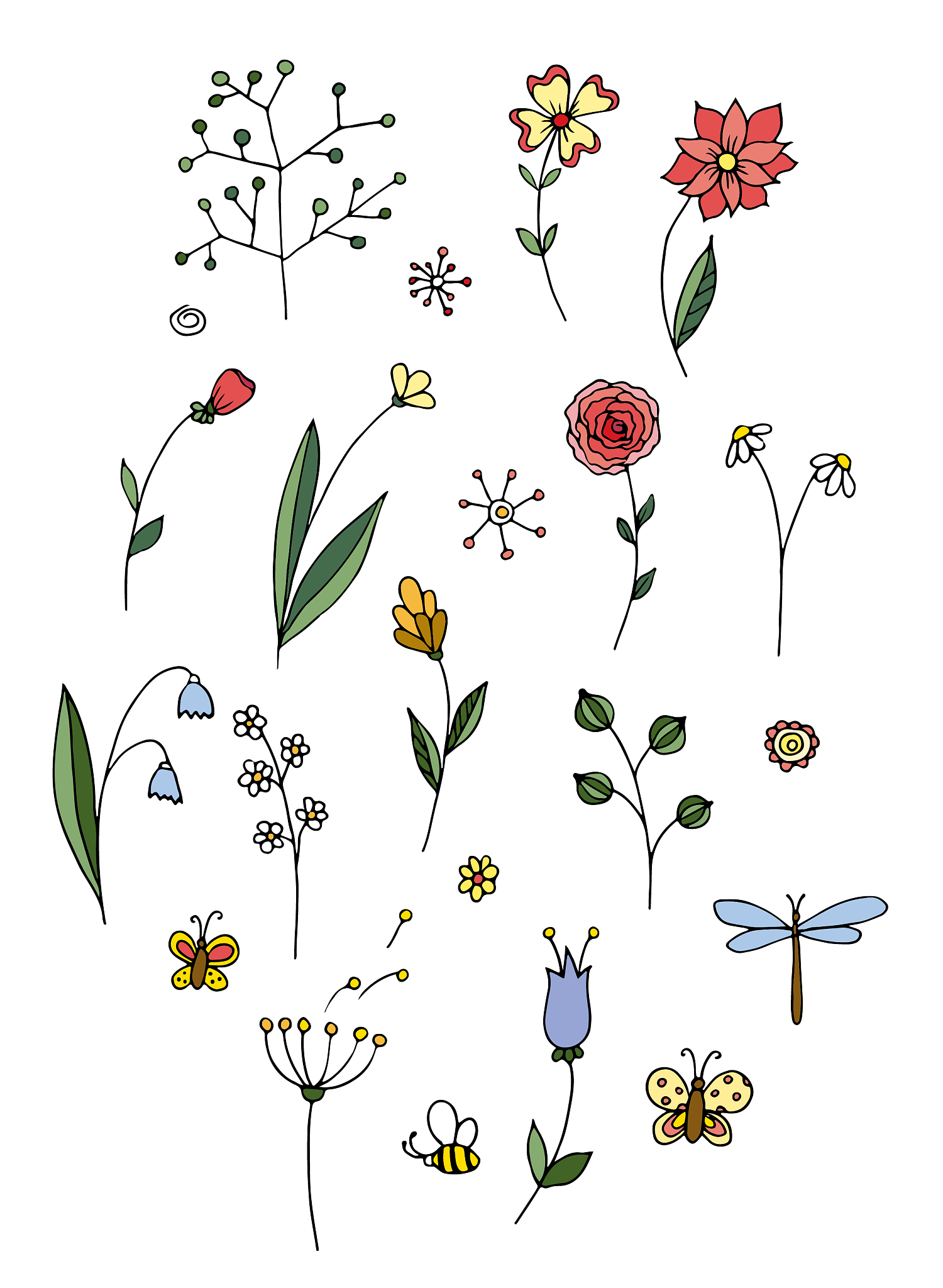 狭义花卉学：定义、研究内容及应用