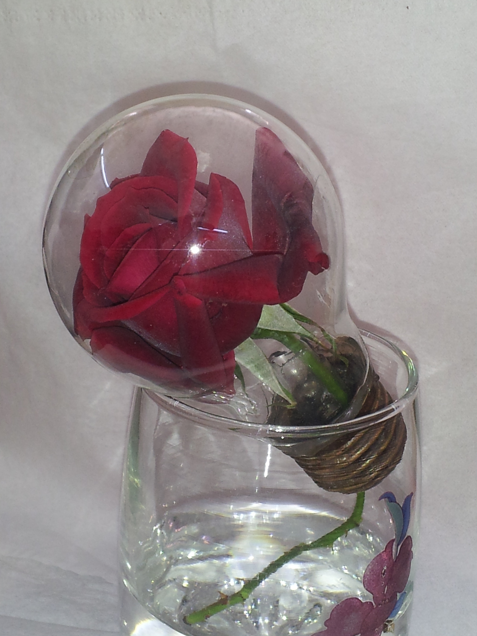 自制玫瑰花酒的做法：一分钟教会你玫瑰花泡酒秘诀！