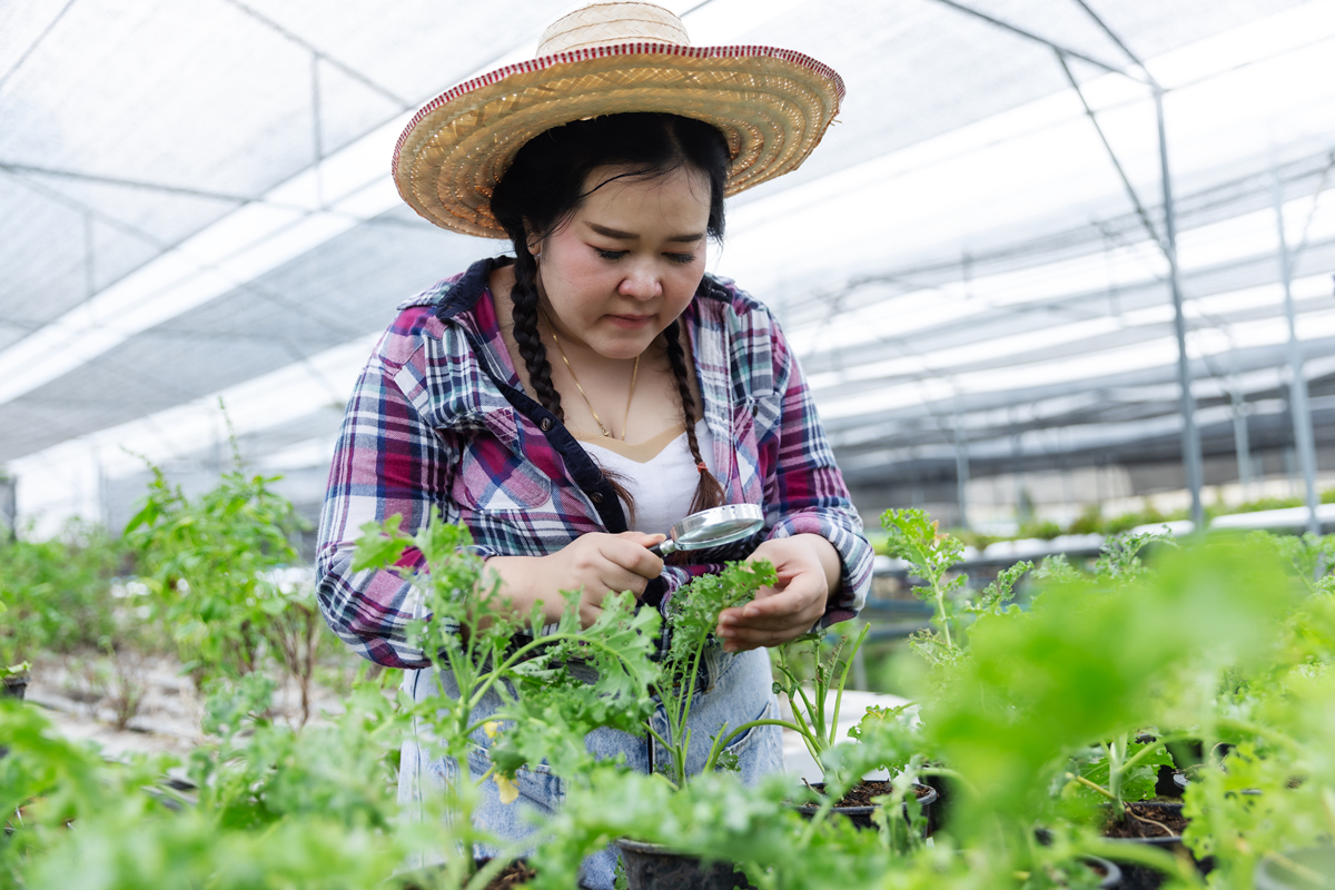 观光农业专业就业方向与前景分析：2019年趋势及未来发展