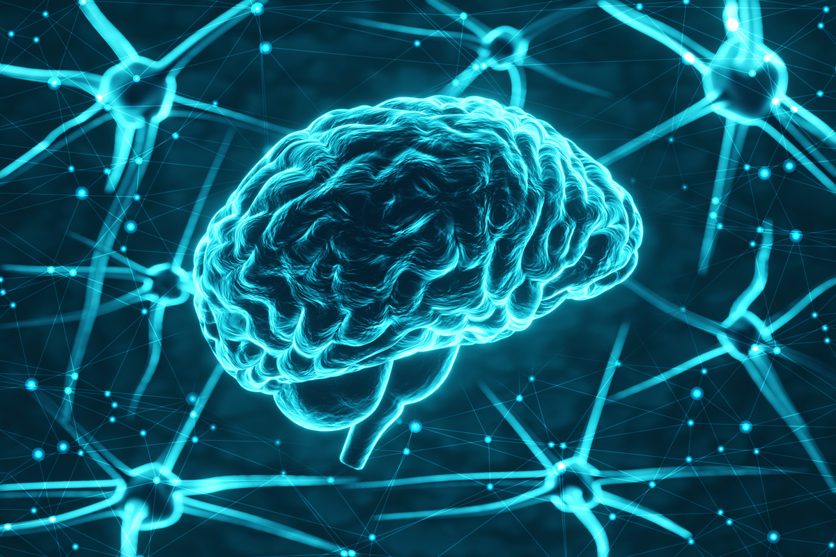 人类意识的起源：大脑结构、功能和情感的相互作用