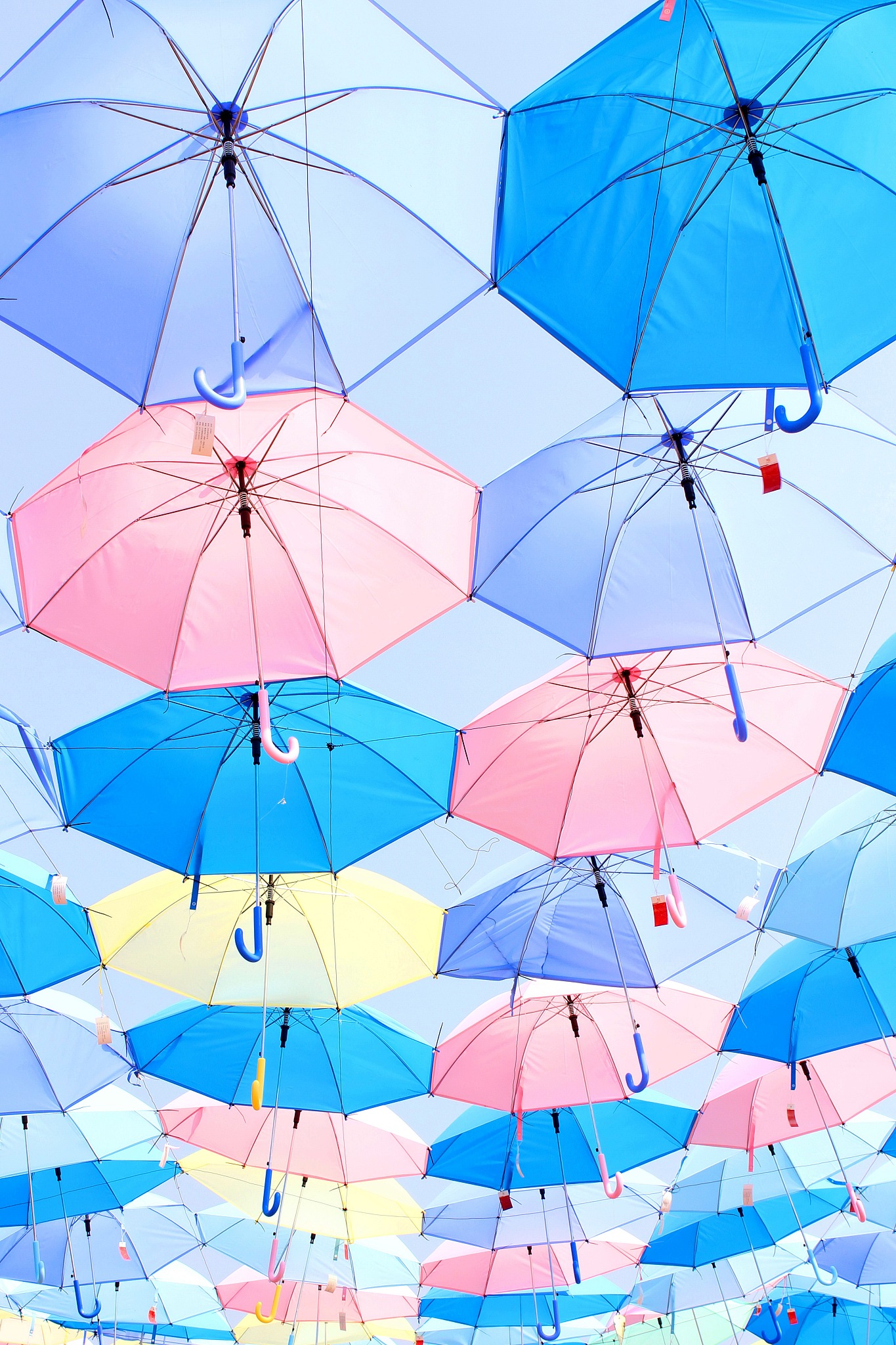 colorful umbrella.