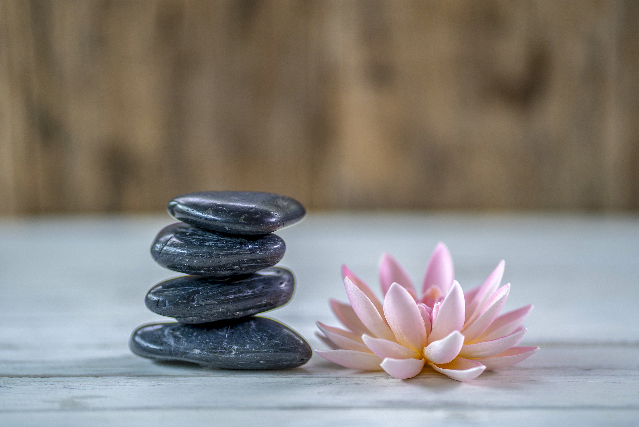 close up view of spa theme objects