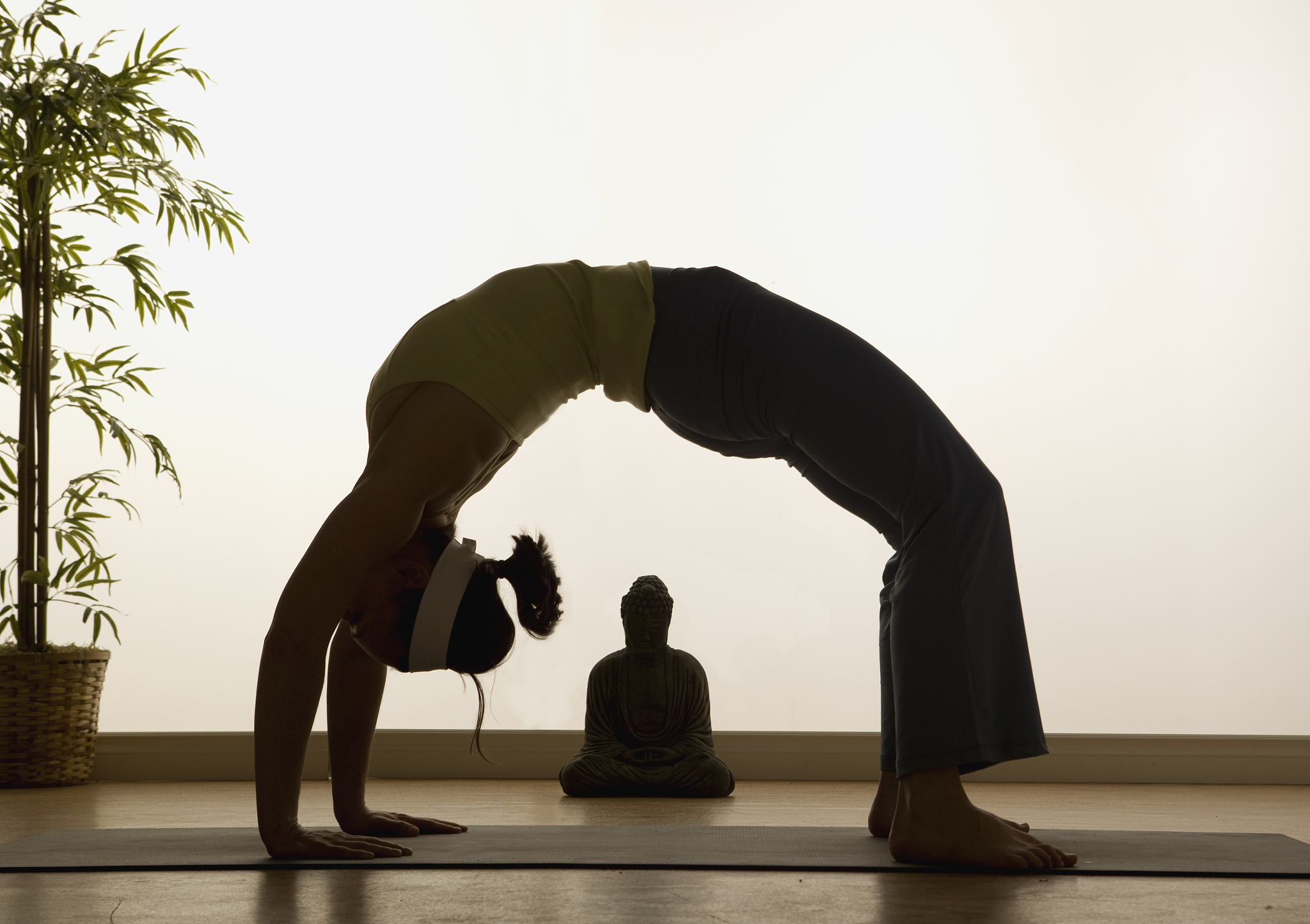 yoga highlights