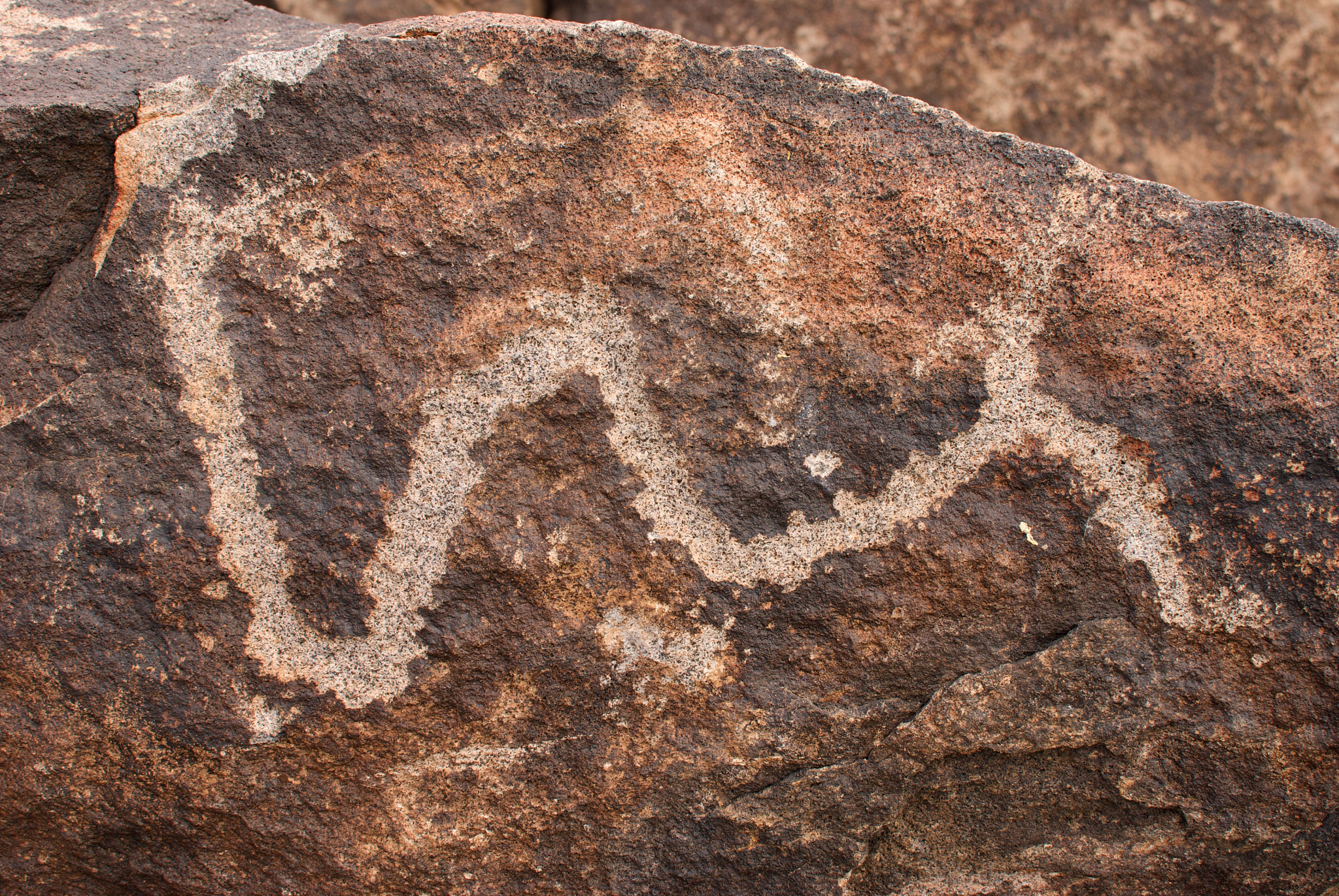 snake petraglyph icon