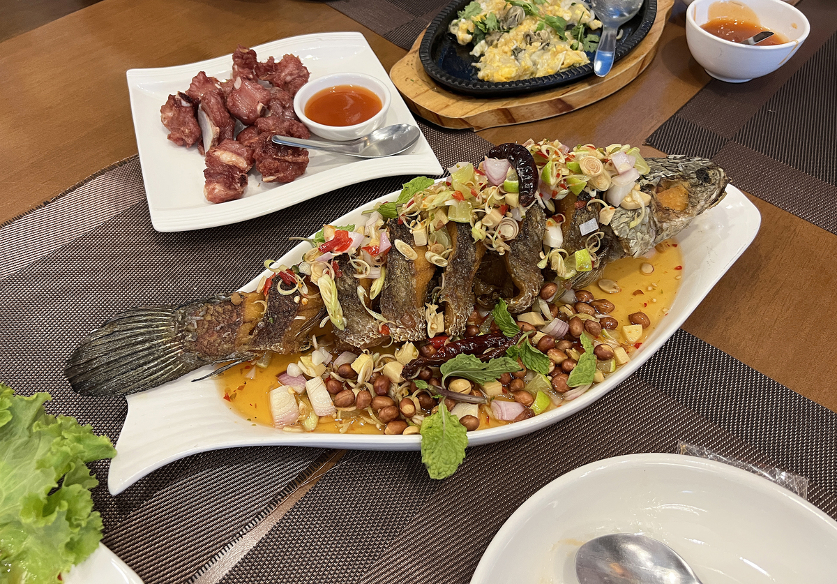 农村美食剧本:独自出境的鲫鱼烹饪之旅 农村美食剧本:独自出境的鲫鱼烹饪之旅