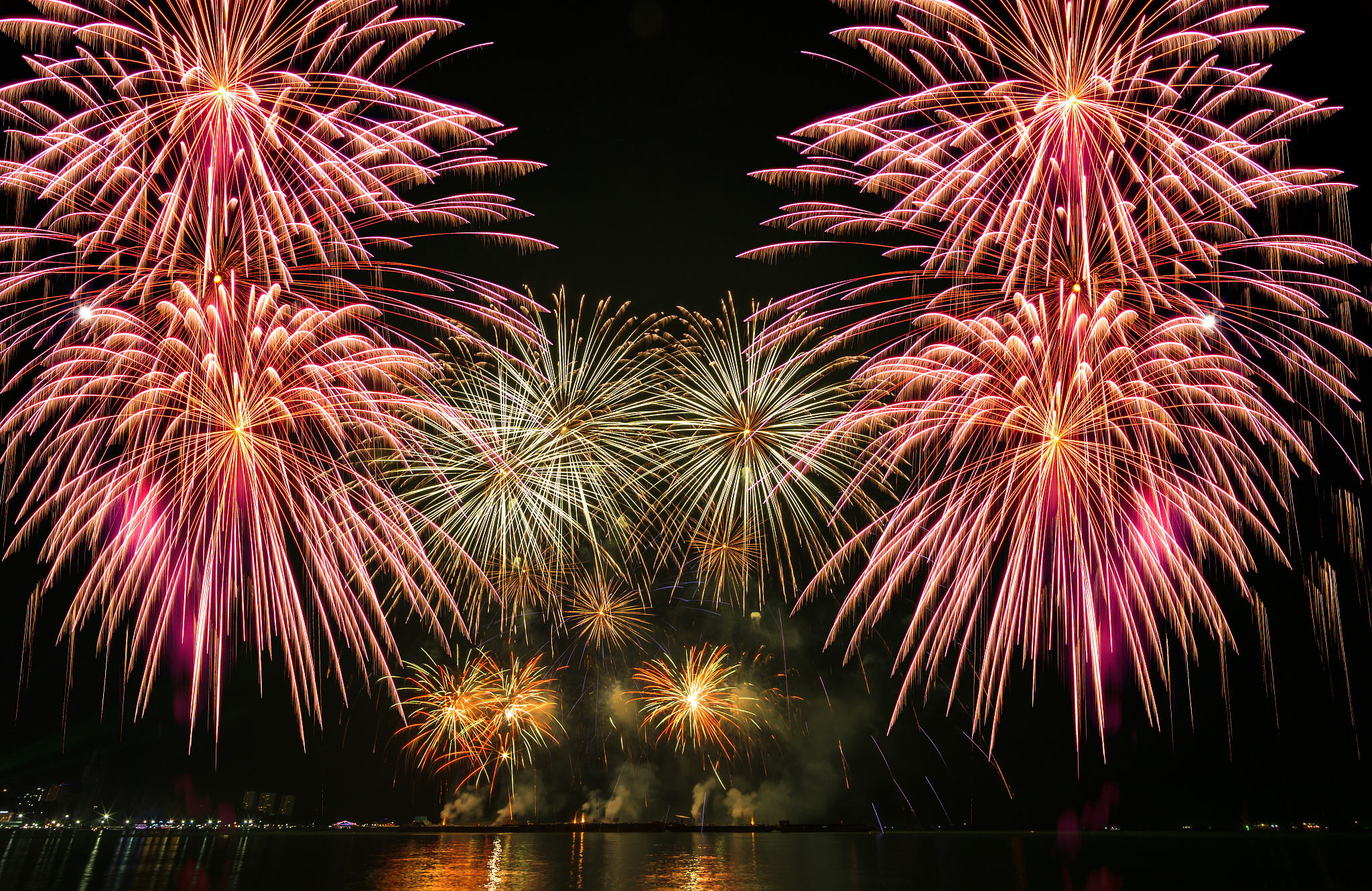 multicolor firework celebration