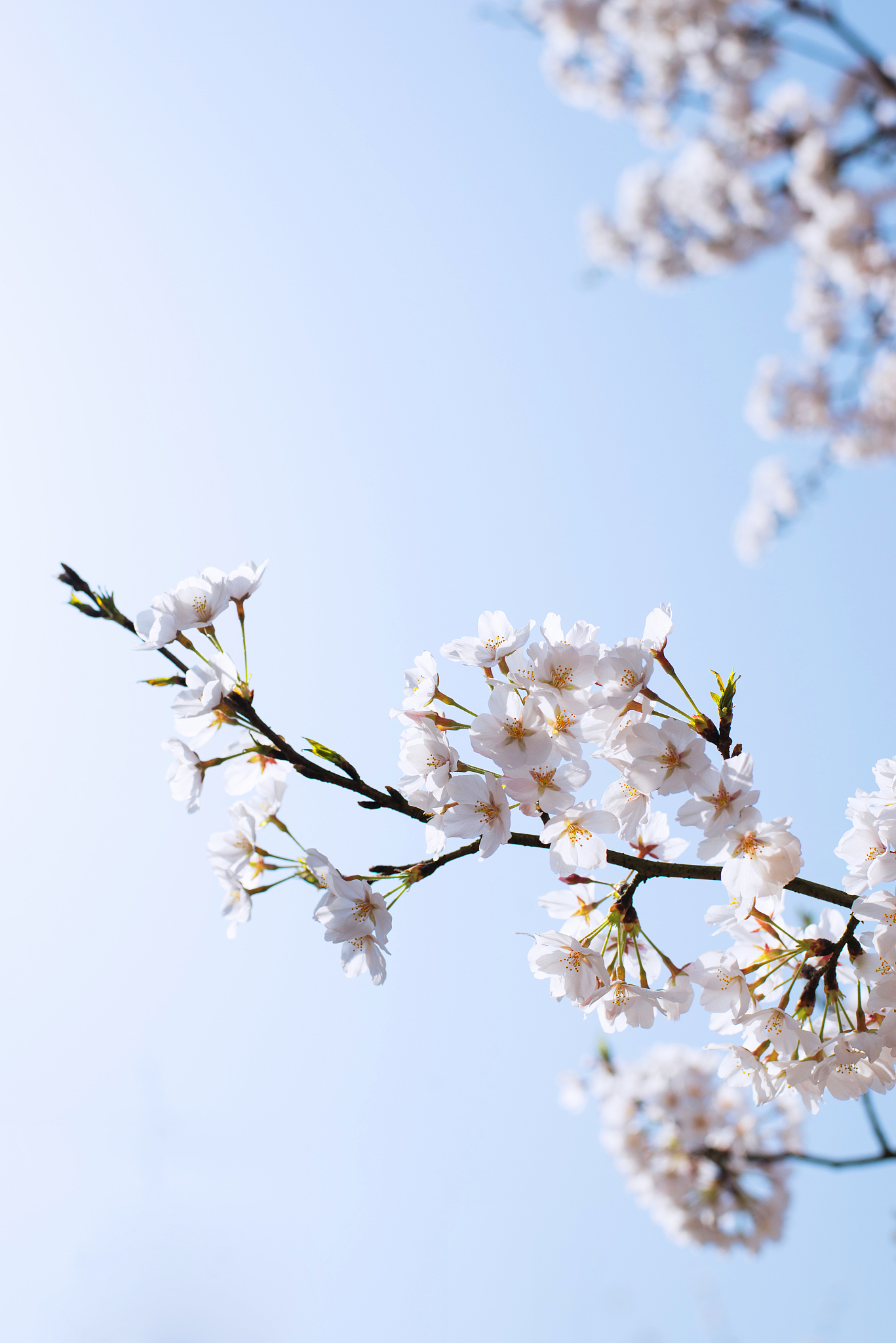 浙江育英职业学院市场营销专业课程 - 培养市场营销人才的优质选择