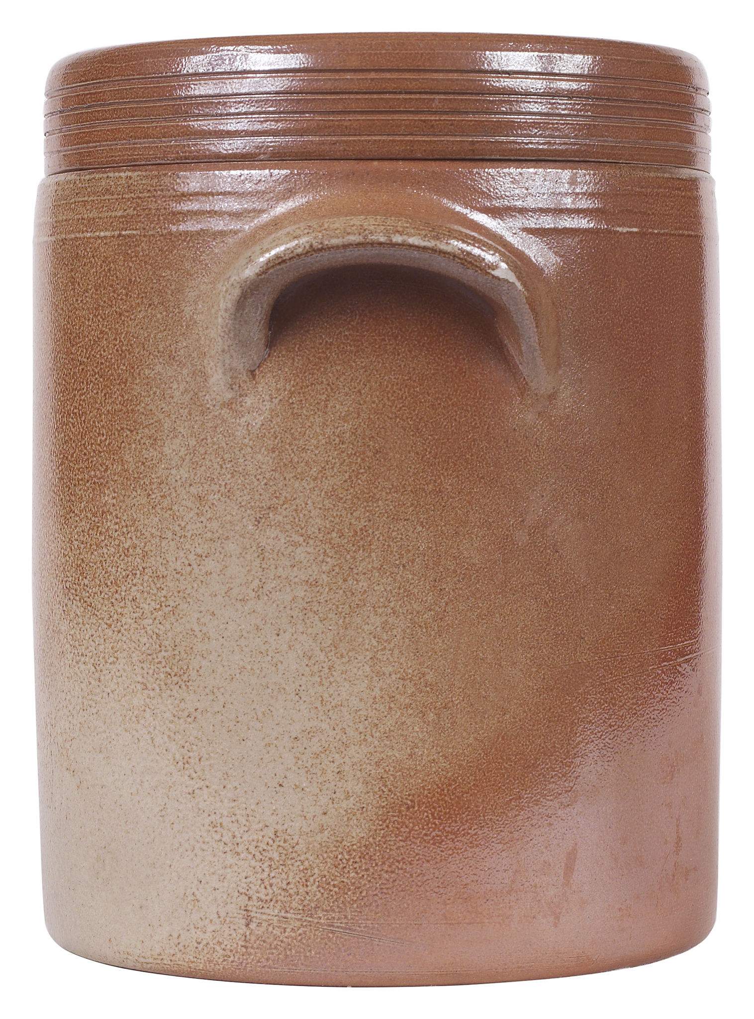 紫砂天星泥：宜兴紫砂泥料的独特魅力