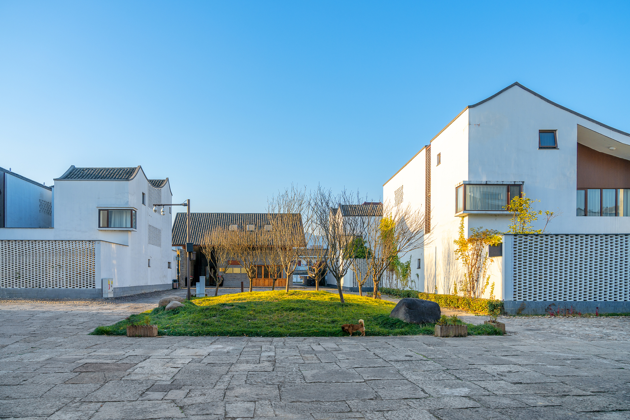 崇明区建设镇虹桥村美丽庭院小三园建设案例民宿和美丽庭院建设的相辅相成、设计师或社会主体参与文字优美朴实