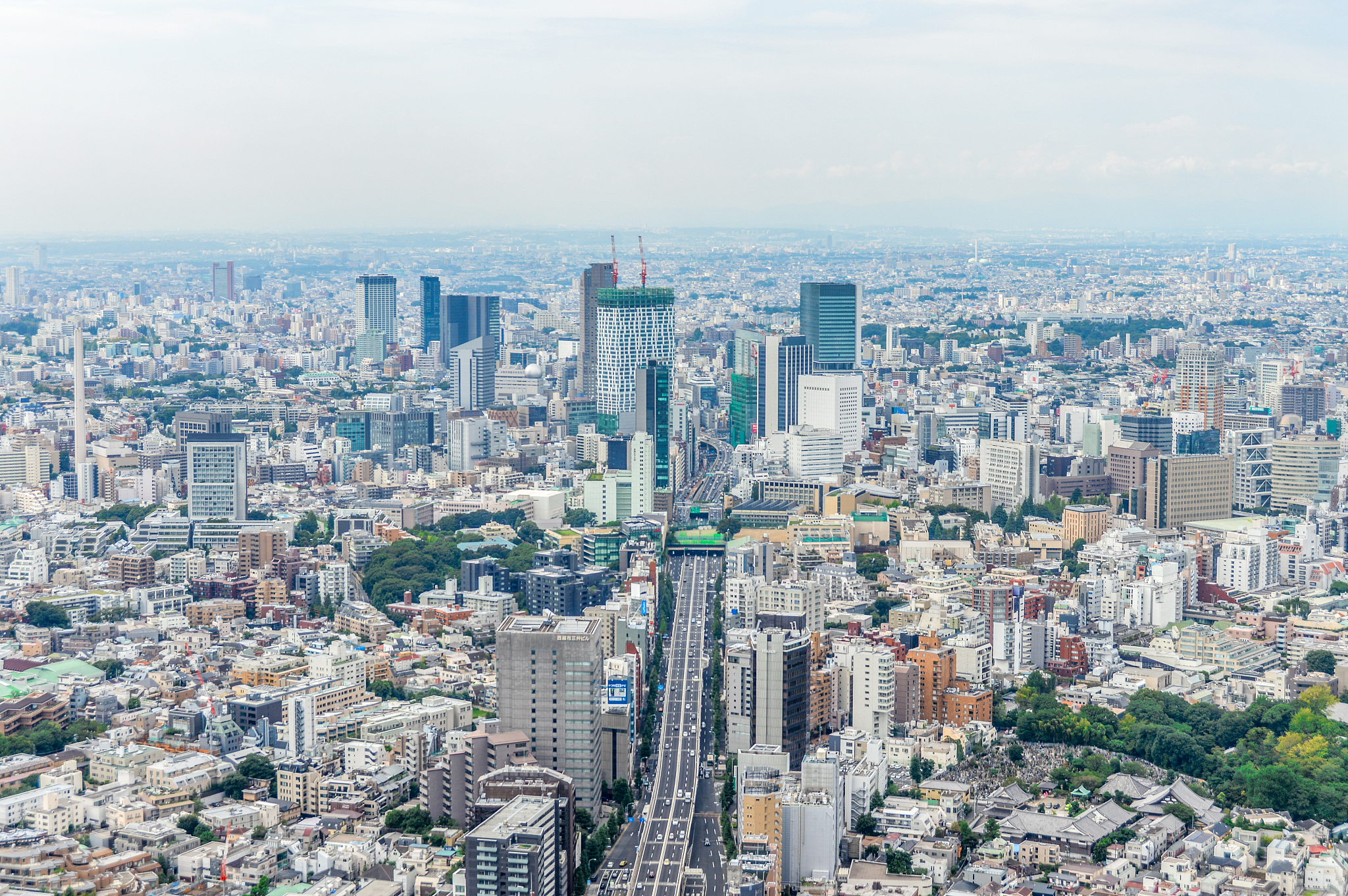tokyo urban cityscape