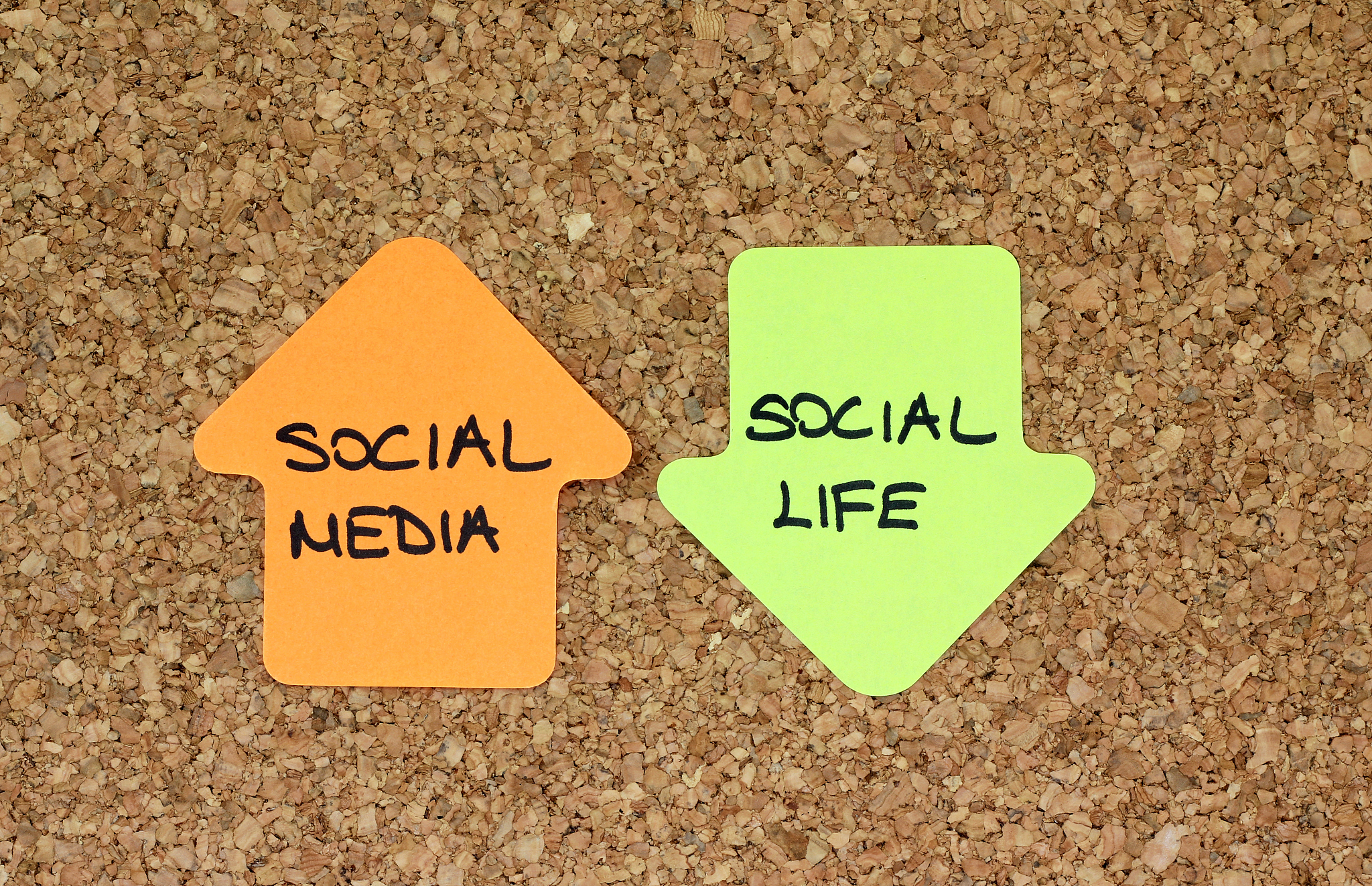 以一个成年人的都市生活写一篇一万字的论文