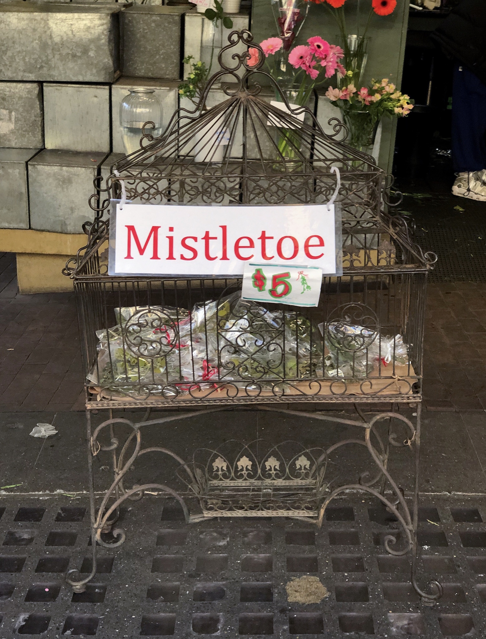 Sally's Story: A Tale of Resilience and Hope on Mango Street