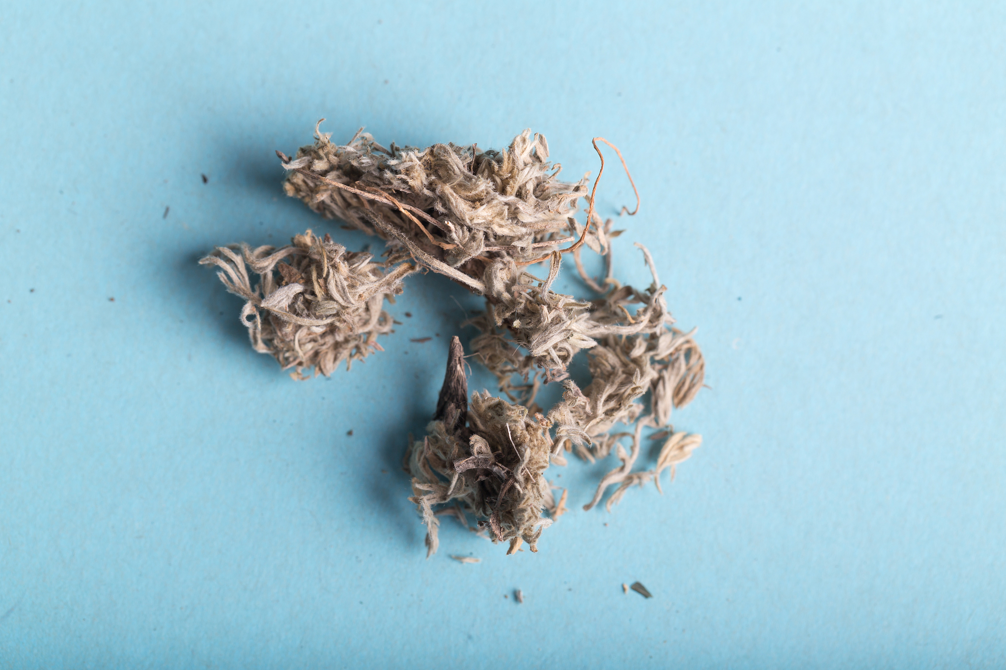 江西中医药高等专科学校康复治疗技术专业就业方向有哪些