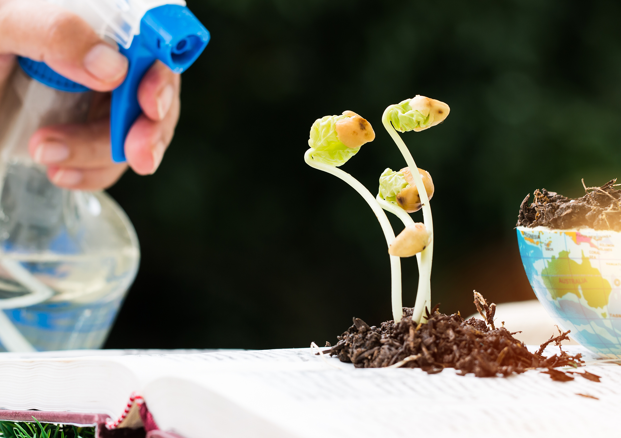 甘肃开设现代农艺技术专业的中专中职学校有哪些