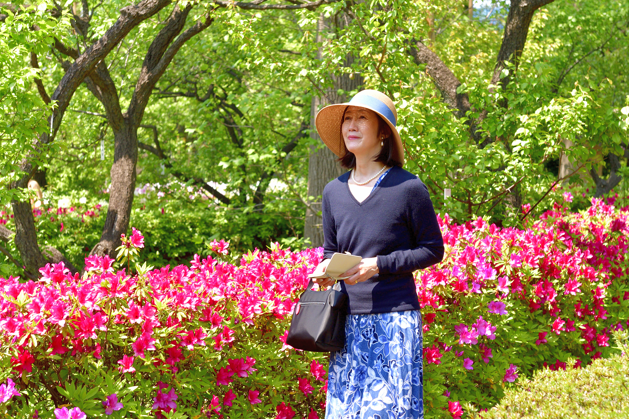 japanese woman enjoying azalea flowers in full bloom at public p