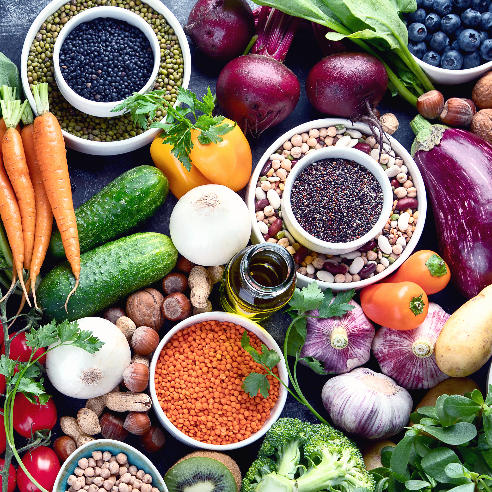 PLANT FOODS FOR HUMAN NUTRITION: 促进植物性饮食与人类健康研究的国际期刊