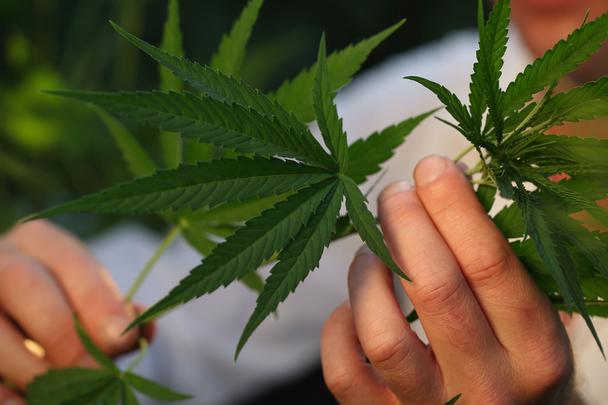 河北化工医药职业技术学院生物化工工艺专业怎么样？发展前景如何？