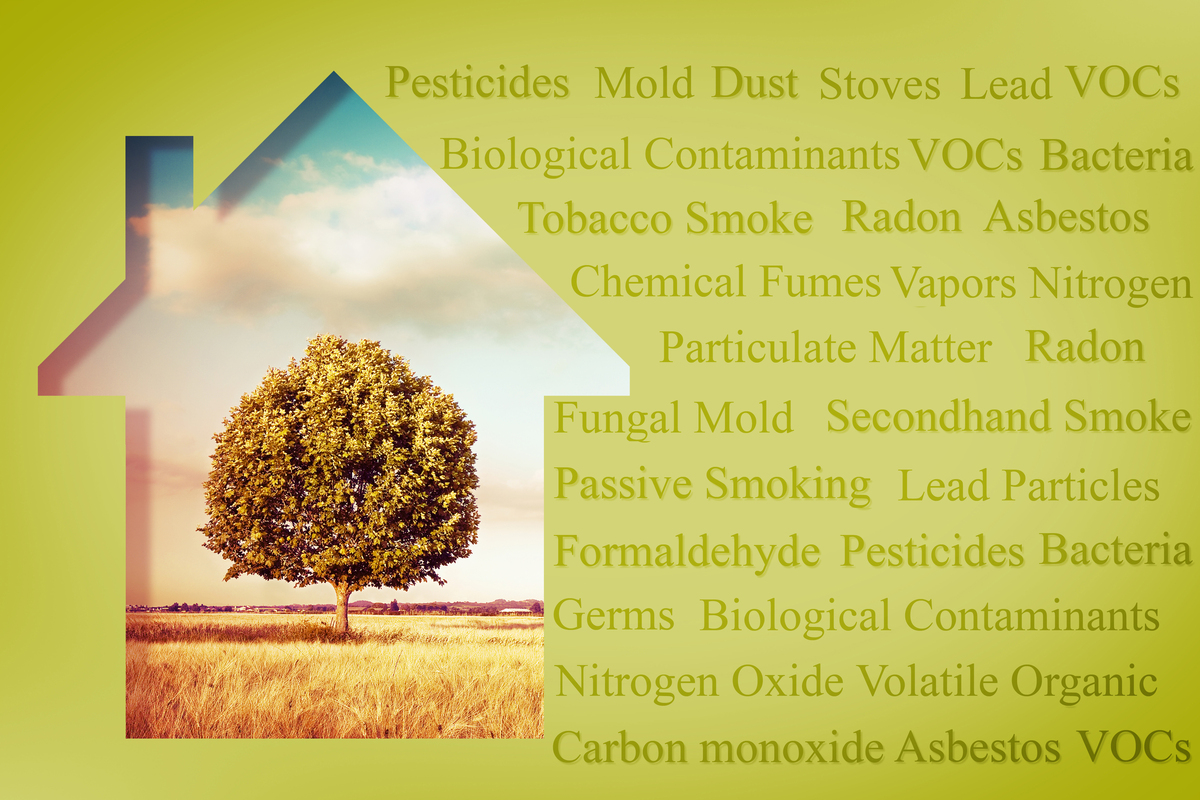 Neglecting culture factors why do people like living in other countries After all living in a place is basically sleeping in a room having meals in that neighborhood and using public transportation in that area to travel around