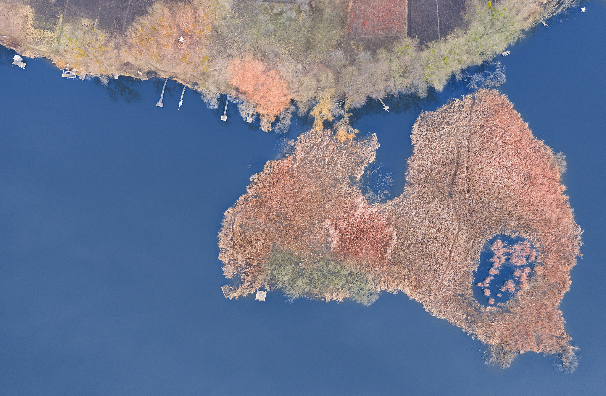 morning landscape, wooden hunting lodge, on a small man-made isl