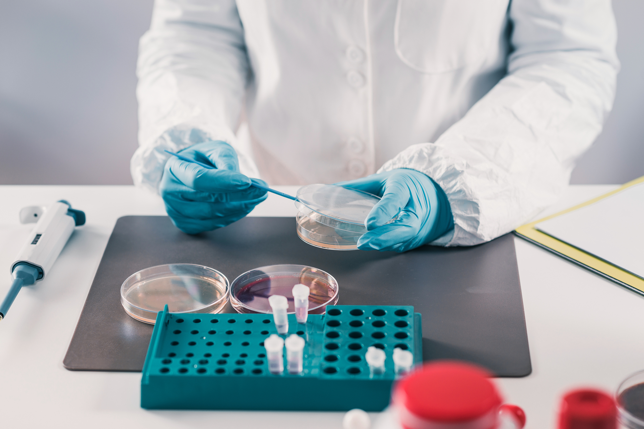 microbiologist working in laboratory