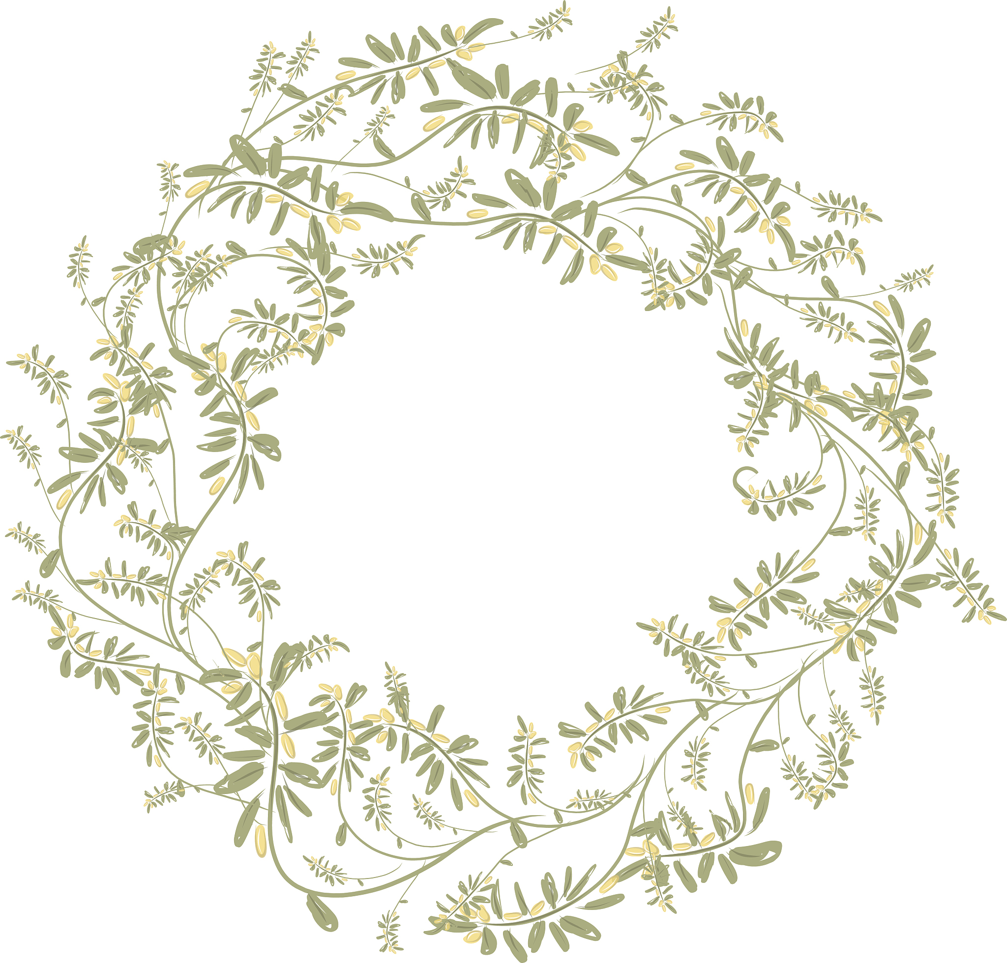 延边大学的园艺专业招多少人