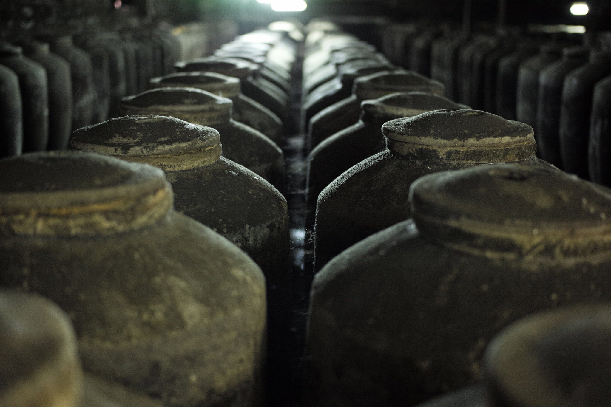 君丰轮次酒的工艺回答+拓展