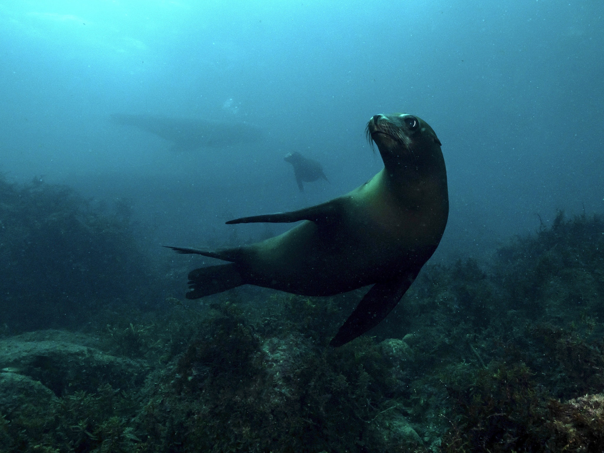 写一篇以美就在我们身边为标题的作