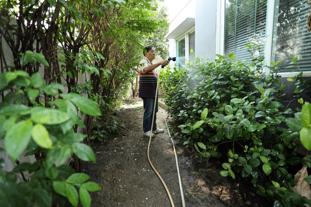 除草农药：轻松除草，打造完美庭院！