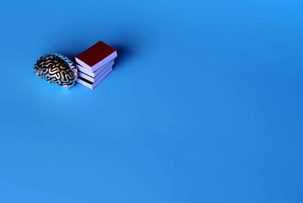 吉林大学的档案学专业就业有哪些方向