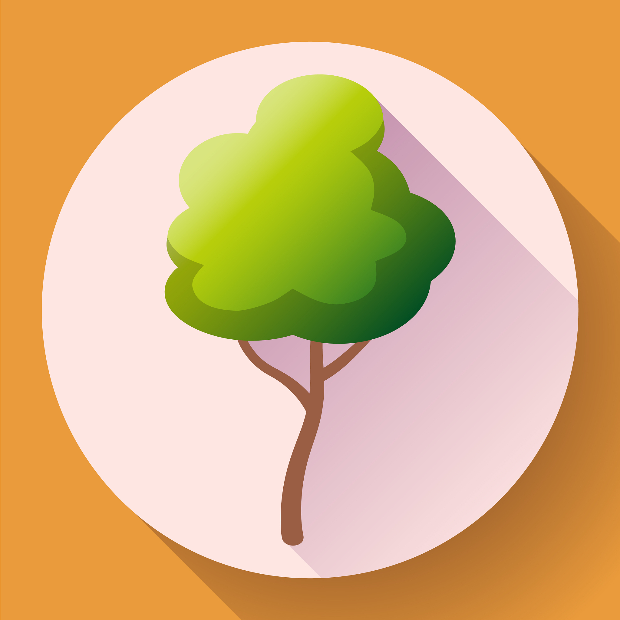 郑州市技师学院的计算机动漫设计「高级工」学制几年