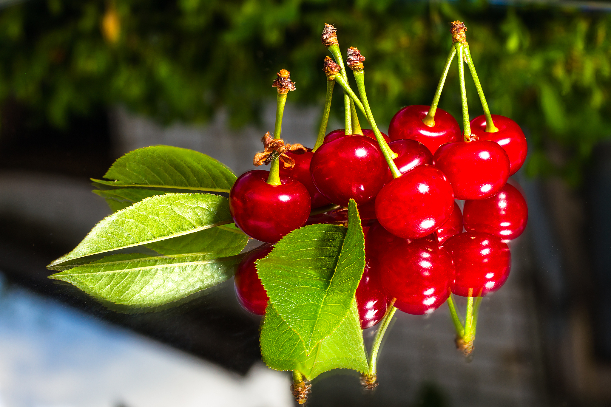fresh cherry