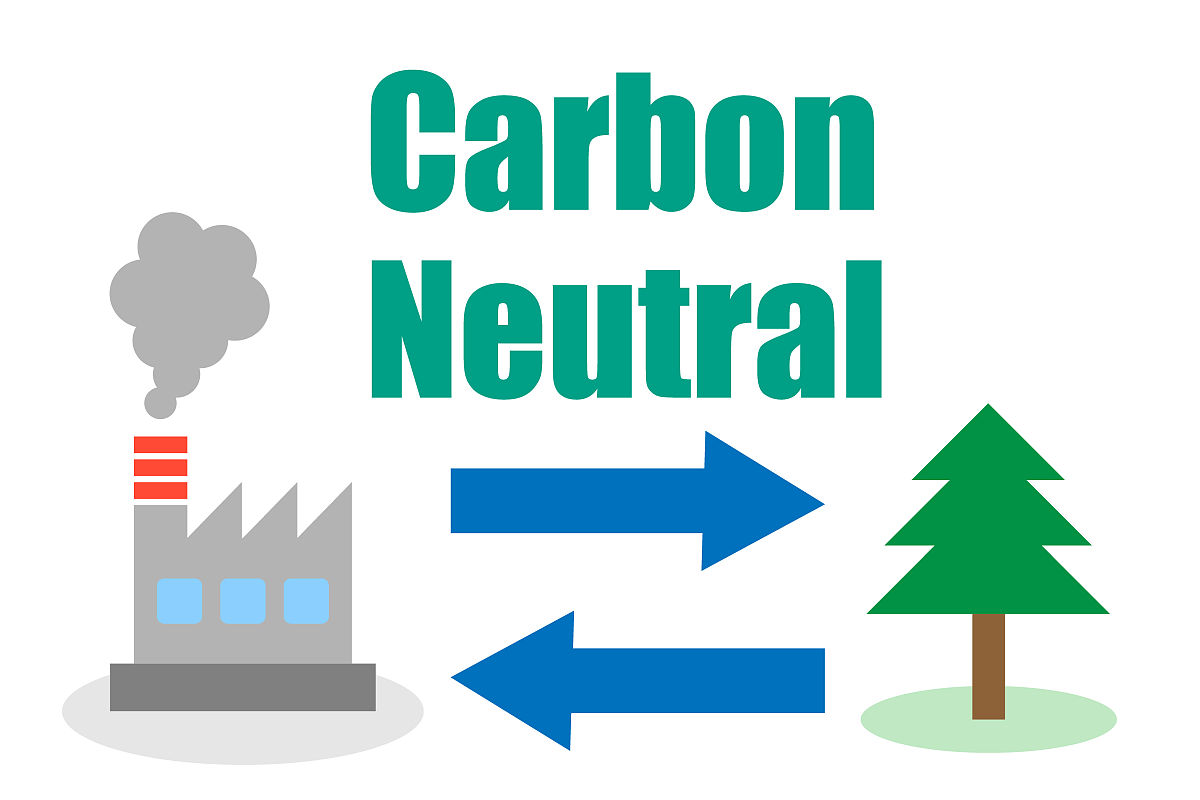 沙盘模拟碳中和规则不足怎么办回答加拓展