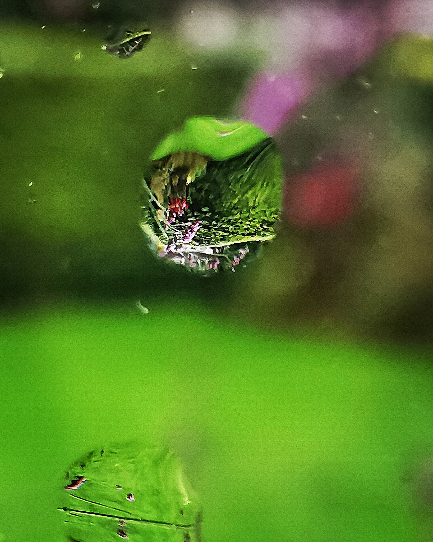 以雨为题写篇散文