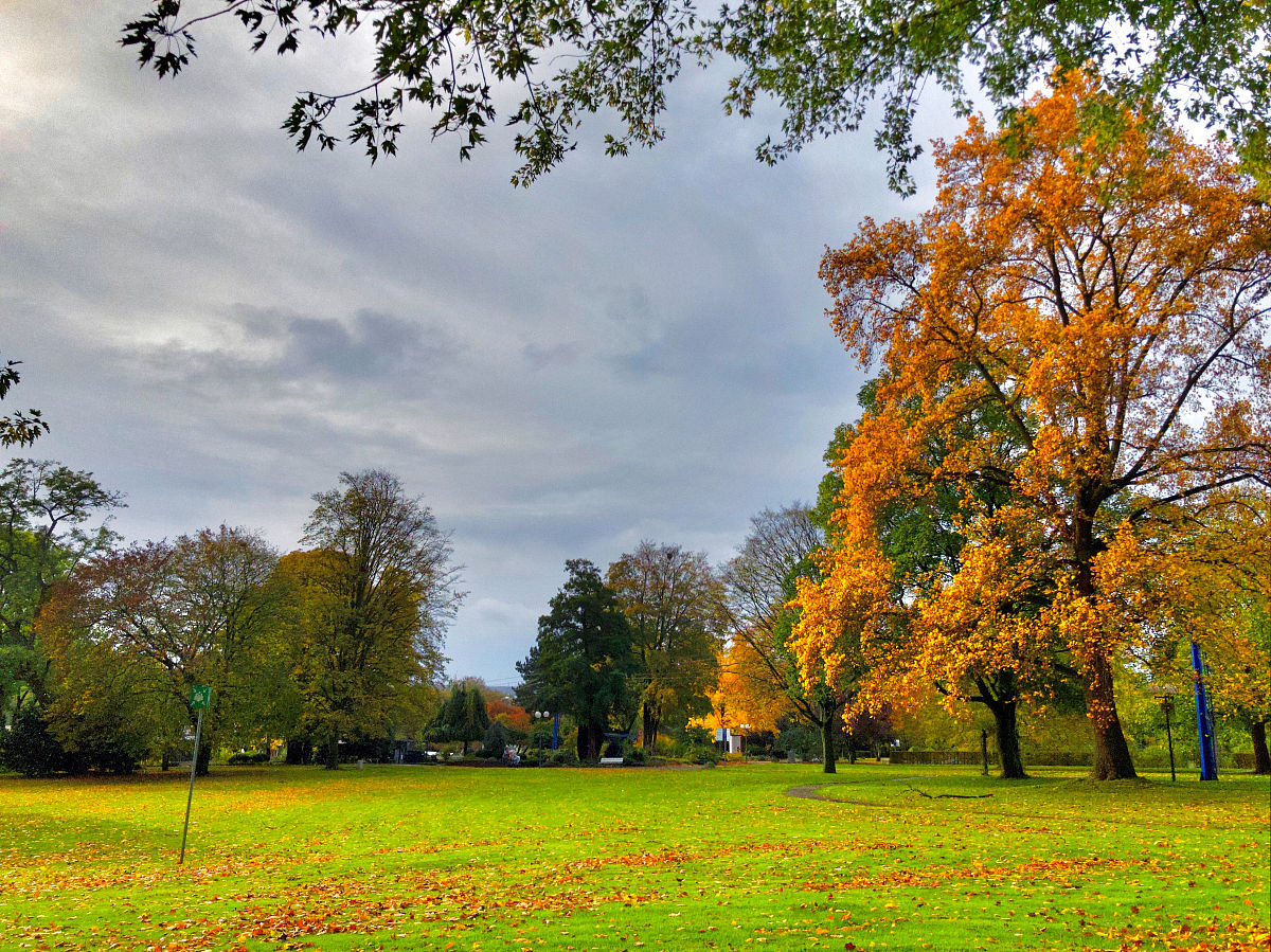 四季之美，诗意无限