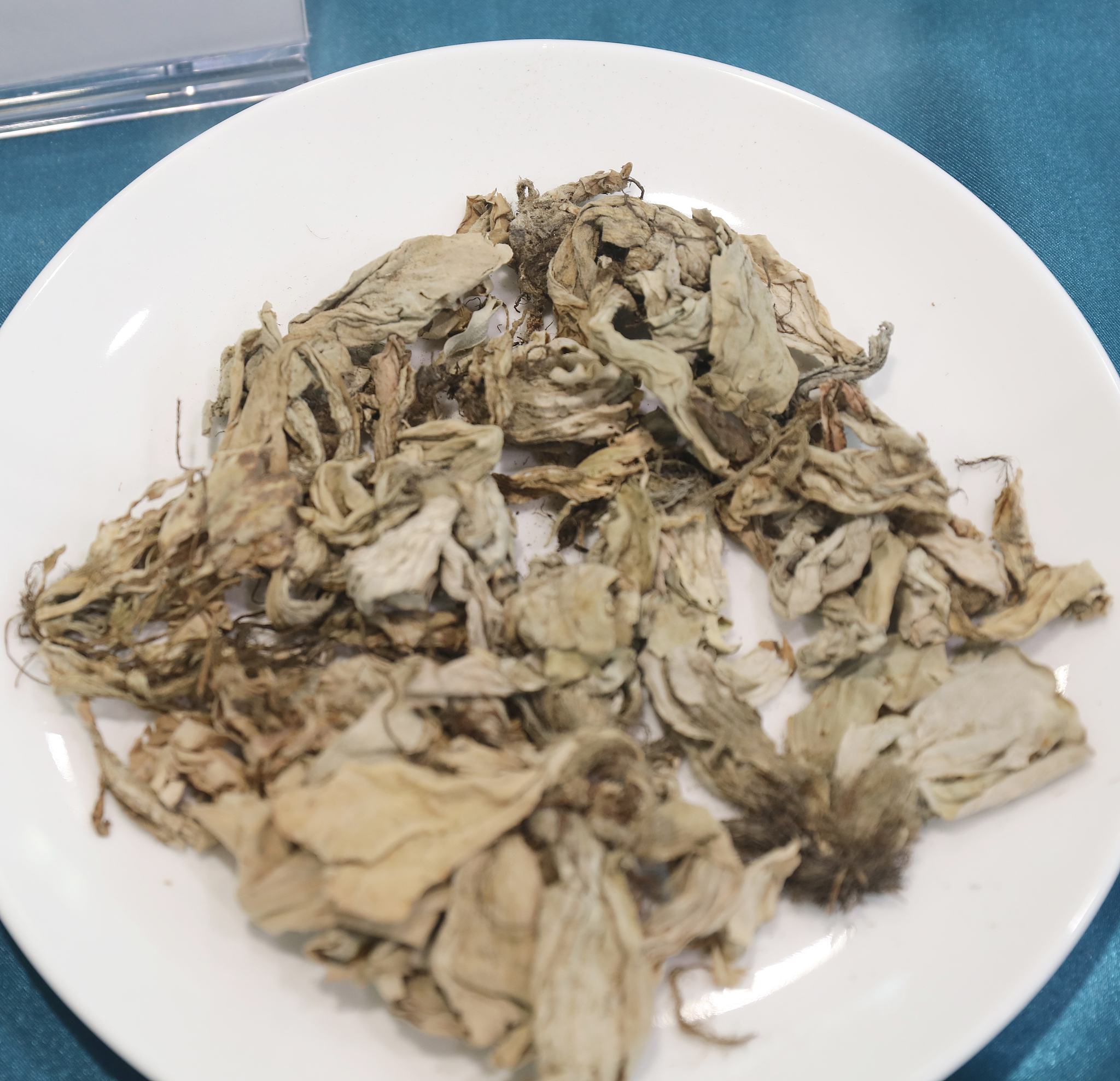 2022年江西中医药高等专科学校药品经营与管理专业招生