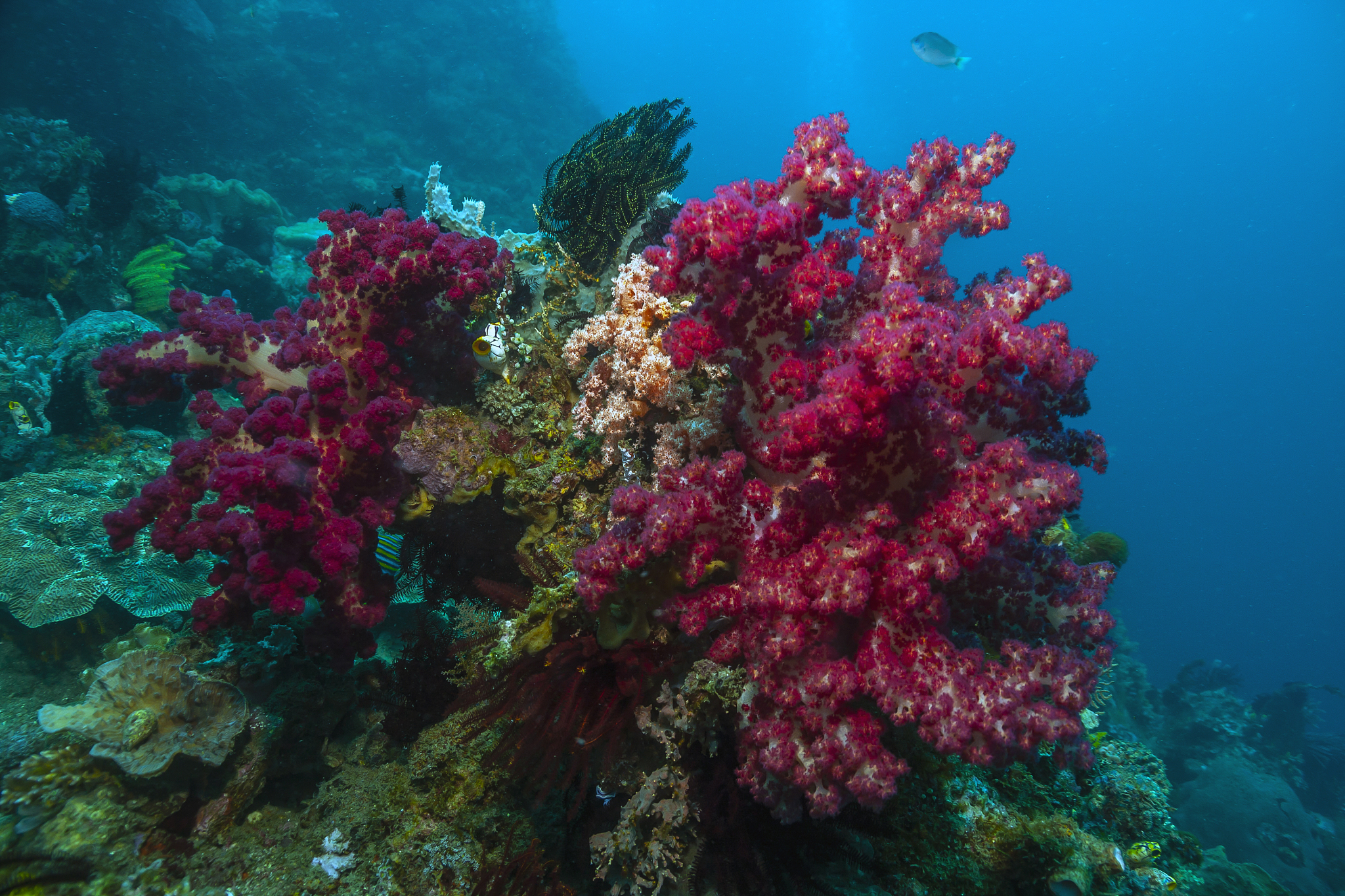 威海海洋职业学院官网地址 - 查询海洋类高职院校信息