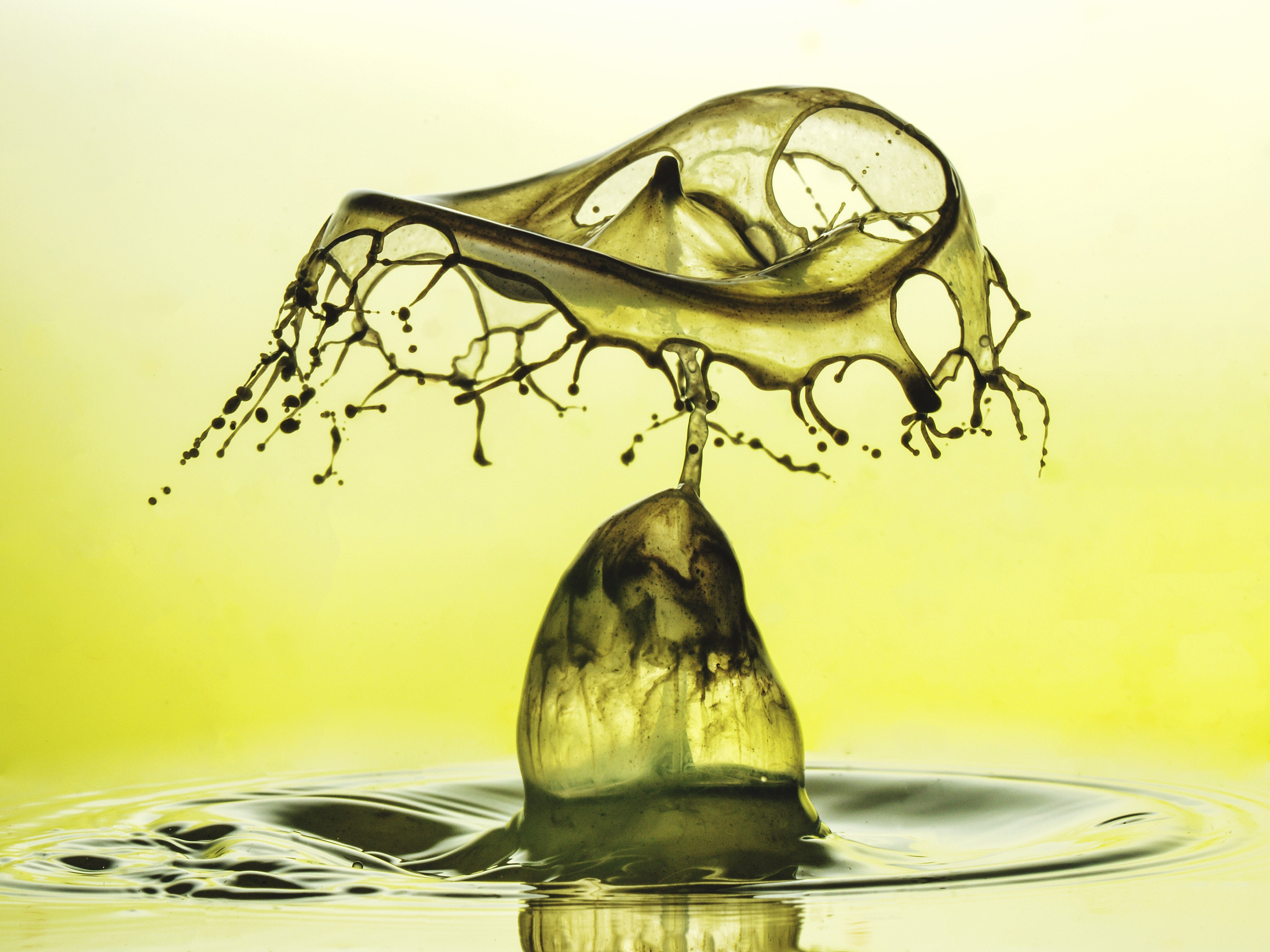 水是剧毒？揭秘荒谬的伪命题